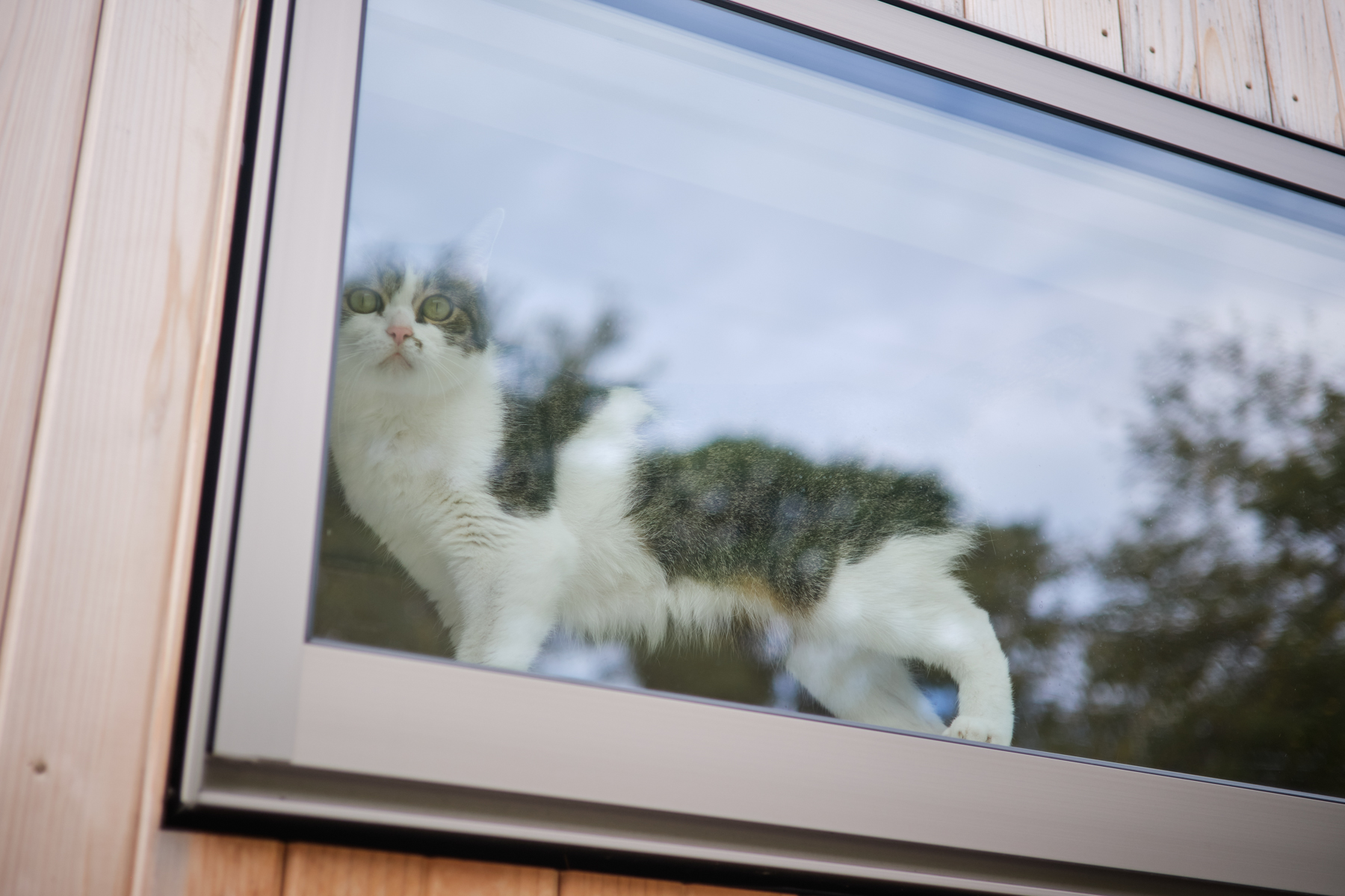 無印良品の家 窓