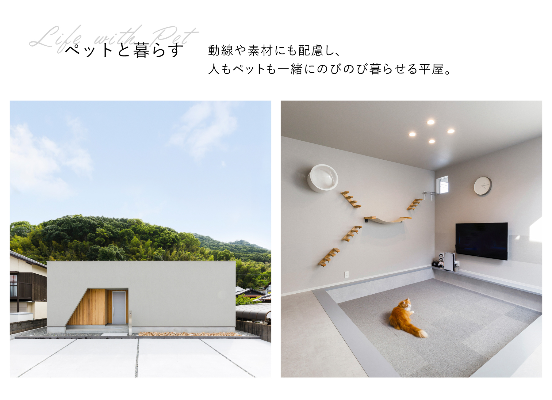 シンプルノート 平屋相談会